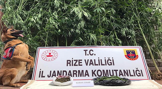 Rize Jandarması bir ayda 289 suçluyu yakaladı