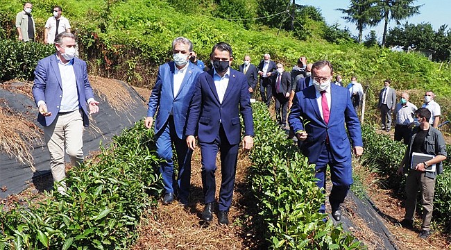 Tarım ve Orman Bakanı Pakdemirli Rize'ye geldi