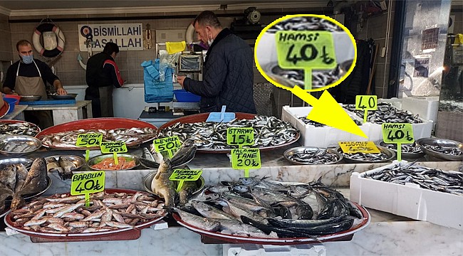 Rize'de hamsinin kilosu 40 TL'ye çıktı