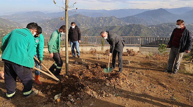 Rize'de 4 bin fidan toprakla buluştu