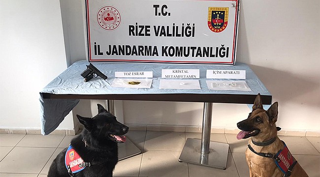 Rize Jandarması Kasım'da 144 şüpheli yakaladı