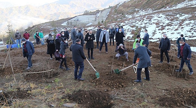 Isırlık, dikilen fidanlarla yeşilleniyor