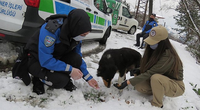 Rize Polisinden sokak hayvanlarına sıcak dokunuş