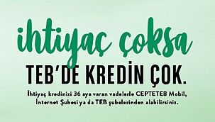 TEB'den 3 Ay Erteleme Fırsatı ile İhtiyaç Kredisi