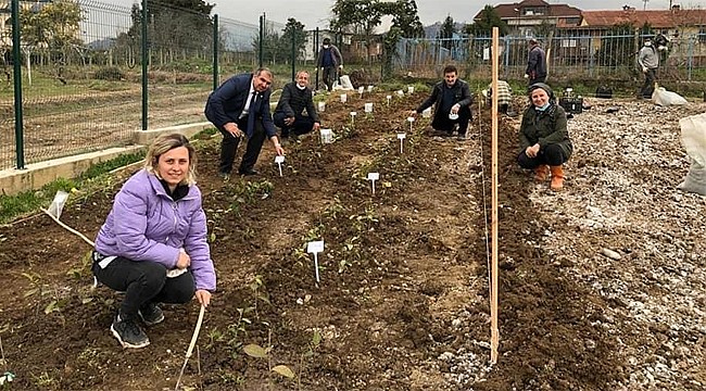 Çay Gen Havuzu ile çayın geleceği garanti altına alınacak