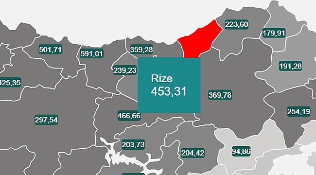 Rize'de vaka sayıları hızla artmaya devam ediyor