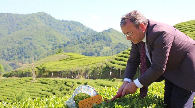 Alim: 100 milyon dolar bölgede kalacak