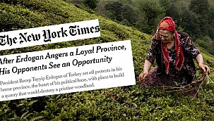 ABD'nin ünlü gazetesi İkizdere'deki Taş Ocağını araştırdı