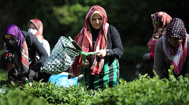 AK Parti Kadın Kolları Genel Başkanı Keşir Rize'de