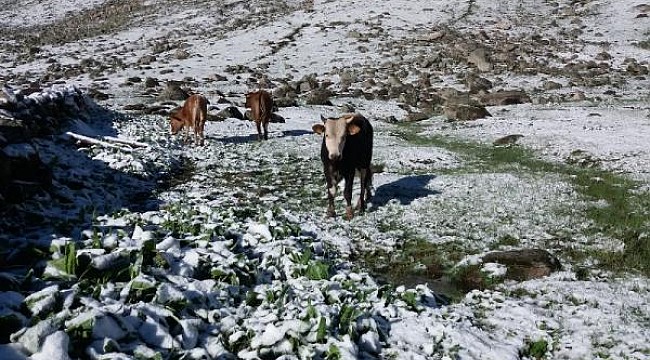 Rize'de yaylaya Haziran ayında kar yağdı