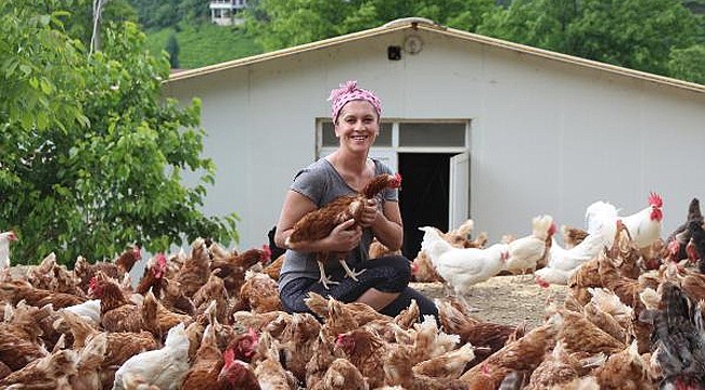 Tavuk çiftliği kurmak için İzmir'den Fındıklı'ya geldi