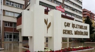 Çaykur'da 2. sürgün kotası 450 kilo
