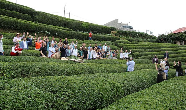 GastroRize Tanıtım Günleri çay hasadıyla başladı