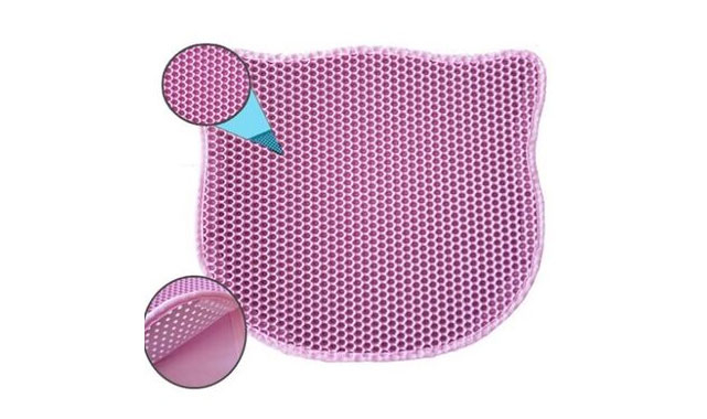 Kedi Tuvaleti Seçerken Nelere Dikkat Edilmelidir?