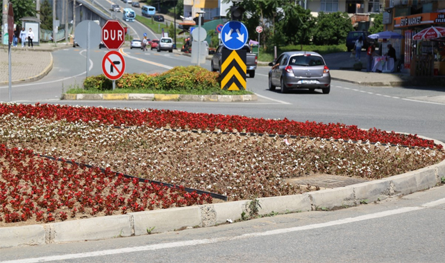 Rize, Begonya ve Kadife çiçekleriyle renklenecek