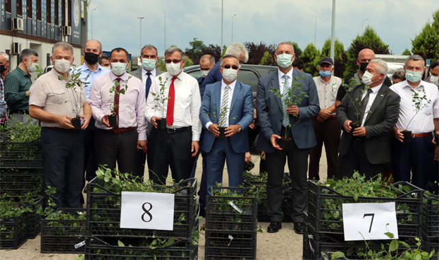 Rize'de 49 üreticiye maviyemiş fidanı dağıtıldı