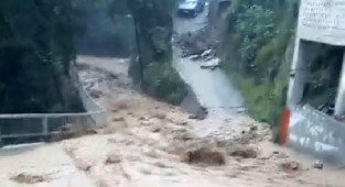 Rize'de sağanak yağış yüzünden dereler taştı, evleri su bastı