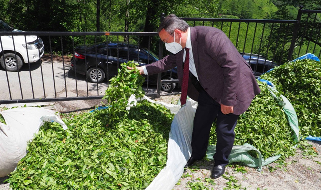 Çaykur bu yıl 3 rekor birden kırdı