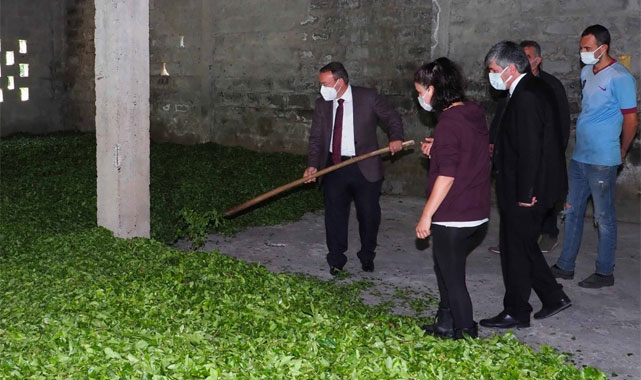 Çaykur ilk 2 sürgünde geçen yılı geçti