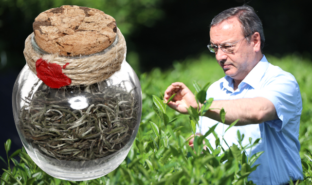 Çaykur'un Beyaz Çay stokları tükendi