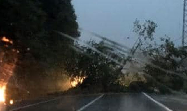 Rize'de heyelan yol kapadı, köprü yıktı