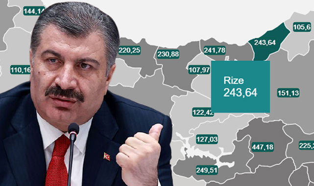 Rize'de yaz rehaveti vaka sayılarını uçurdu