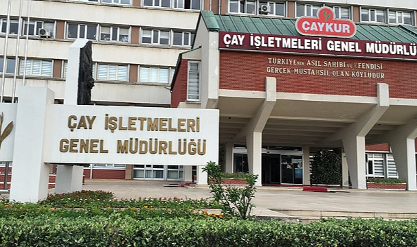 Çaykur 8 günde 63 bin ton yaş çay aldı
