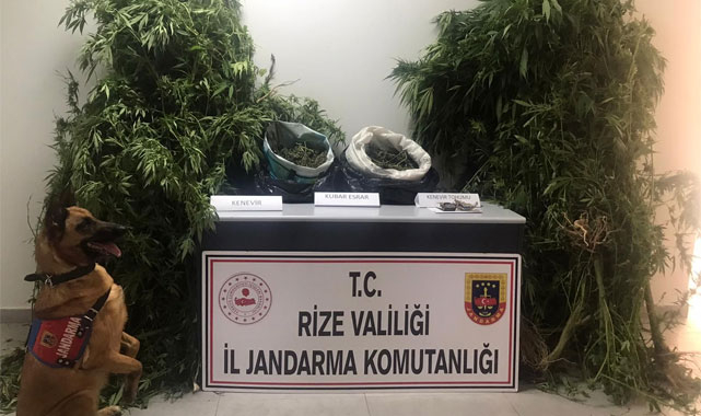 Güneysu'da uyuşturucu imal eden 2 kişi yakalandı