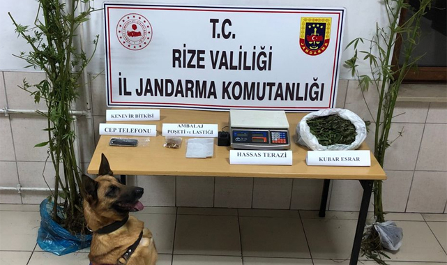 Çayeli'nde uyuşturucu satıcısı yakalandı