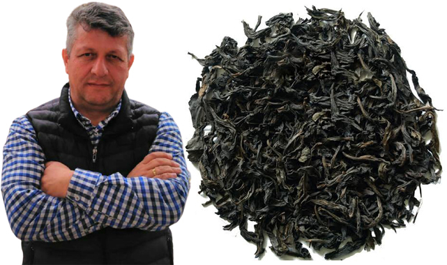 Rize'de her ev bir çay atölyesi olacak