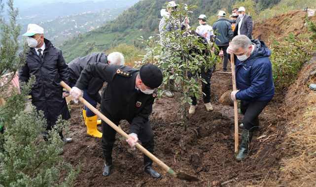 Rize'de 500 fidan toprakla buluşturuldu