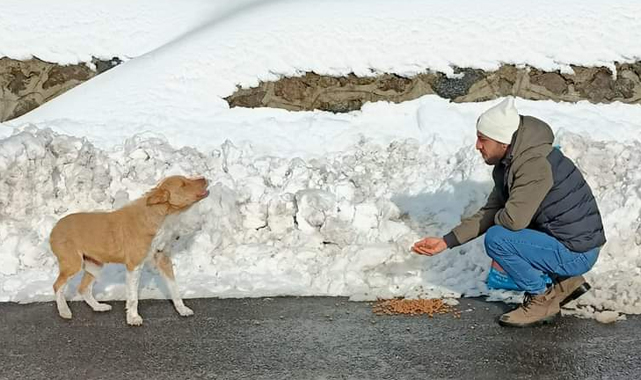 Yeniden Refah Rize Gençliği sokak hayvanlarını unutmadı
