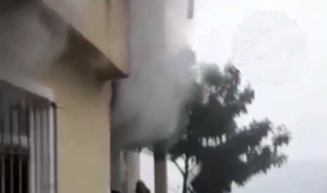 Rize'de ağaca düşen yıldırım evi yaktı