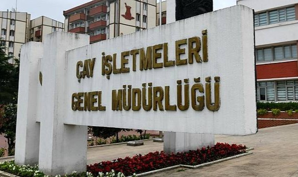 Yaş Çay destekleme primleri ödendi