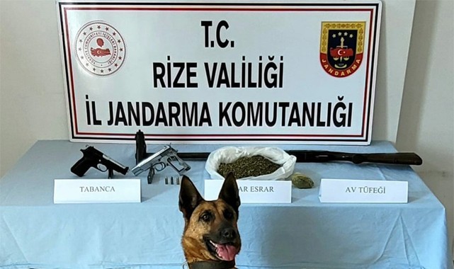 Kalkandere'de uyuşturucu operasyonu