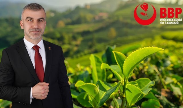 Özçelik: Yaş çaya 7-8 TL arasında bir fiyat verilmeli