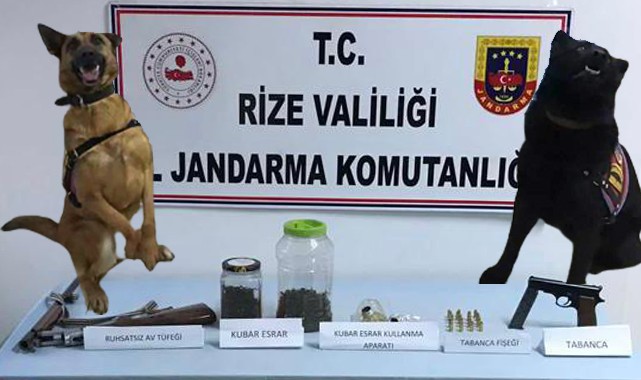 Rize Jandarması 2 ayda 253 suçluyu yakaladı