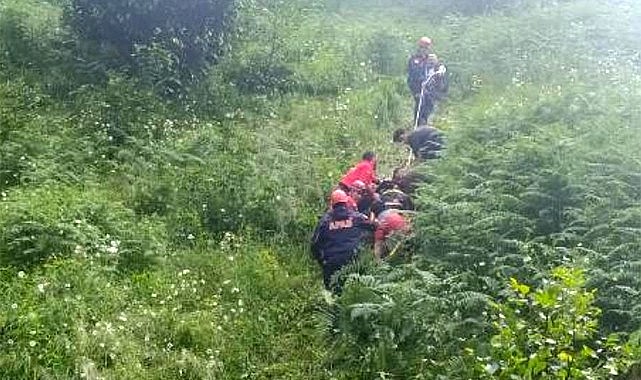 Çamlıhemşin'de ilkel teleferik kazası: 1 ölü, 1 yaralı