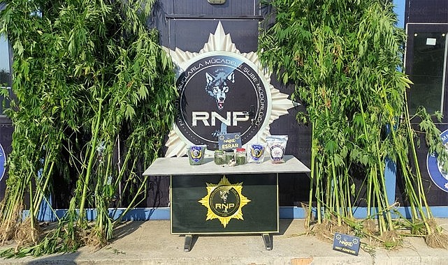 Rize'de esrar imal eden 1 kişi tutuklandı