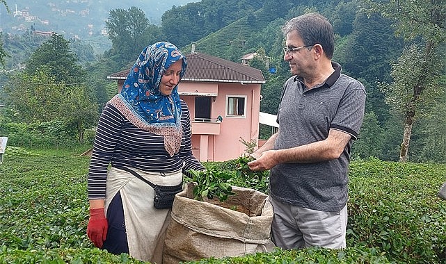 Destekleme bedeli 1 TL olacak şekilde yeniden açıklanmalı!