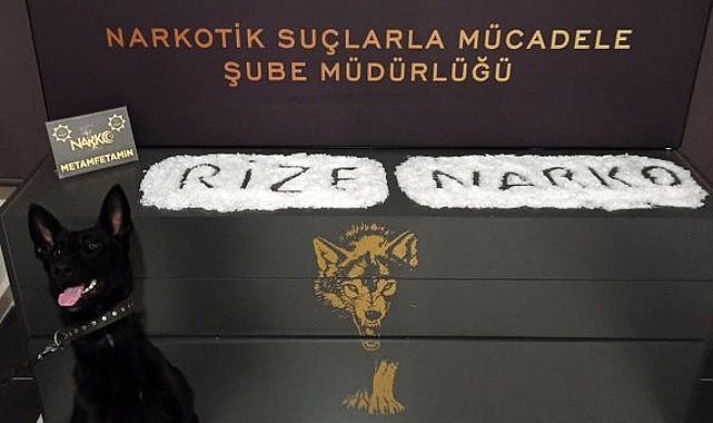Rize'ye uyuşturucu getirmeye çalışan kişi tutuklandı