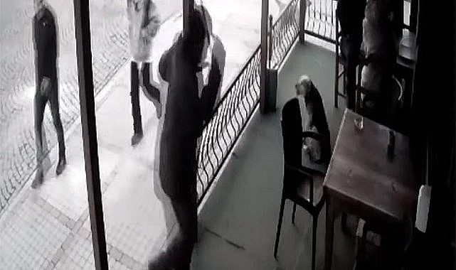 Rize'de sokak köpeğine sopayla şiddet uygulayan kişi önce yakalandı, sonra serbest kaldı