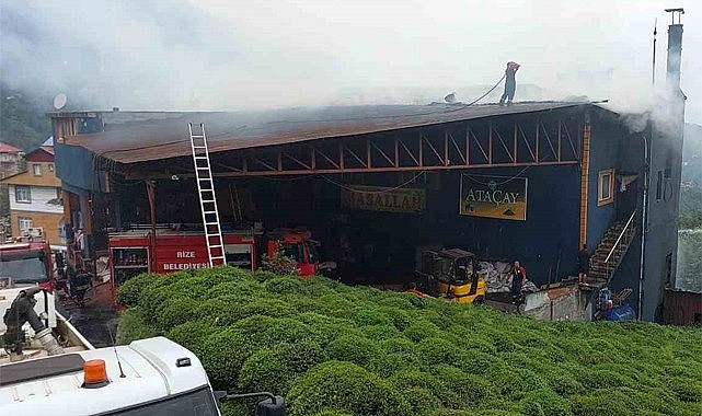 Güneysu'da Ataçay fabrikasında yangın çıktı
