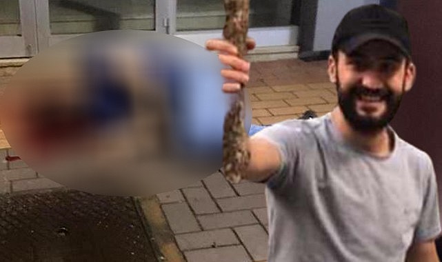 Rize'de görgü tanıklığı canından etti