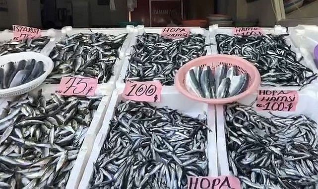 Hamsi 100 TL'den tezgahlardaki yerini aldı