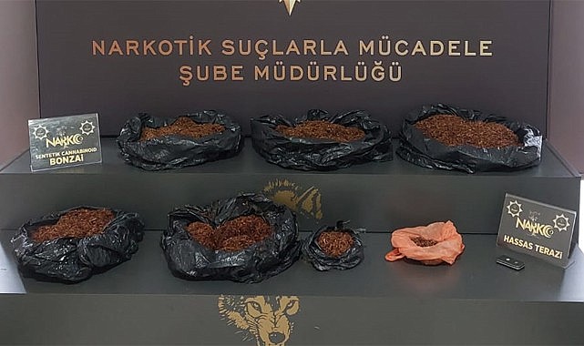 Rize'de 5 kilo Bonzai ile yakalanan 2 uyuşturucu taciri tutuklandı