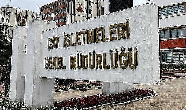 Çaykur hangi ilde kaç tane mevsimlik işçi alacak!