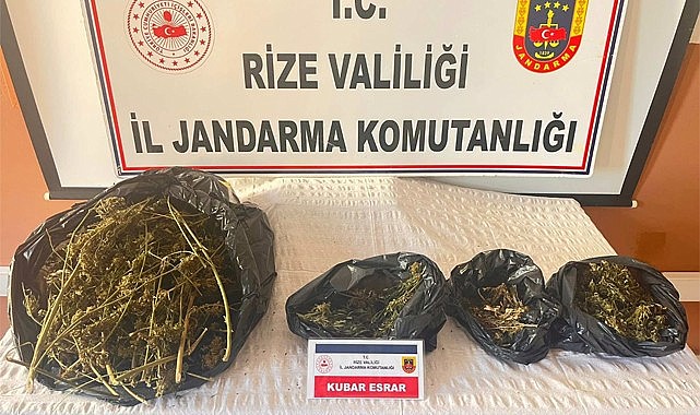 Pazar'da esrar yetiştiren 1 kişi yakalandı