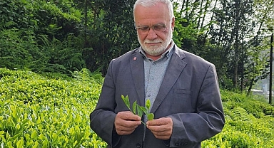Saadet Partili Hasan Uzun: 1 kilo Çay 3 Ekmek etmeli