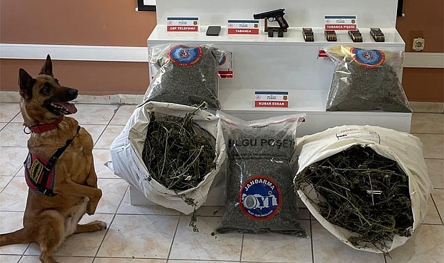 Pazar'da 11 kilodan fazla esrar ele geçirildi